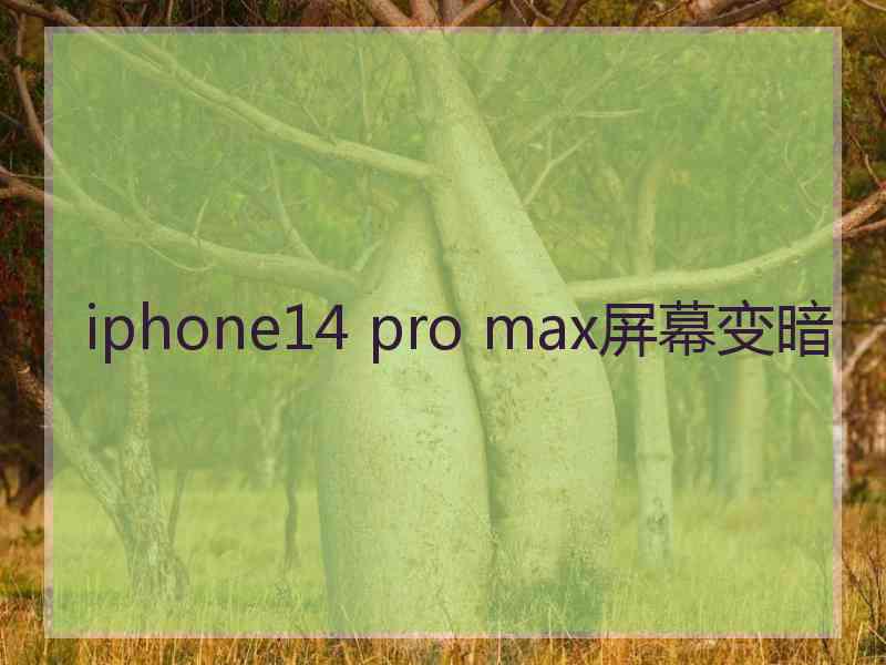 iphone14 pro max屏幕变暗