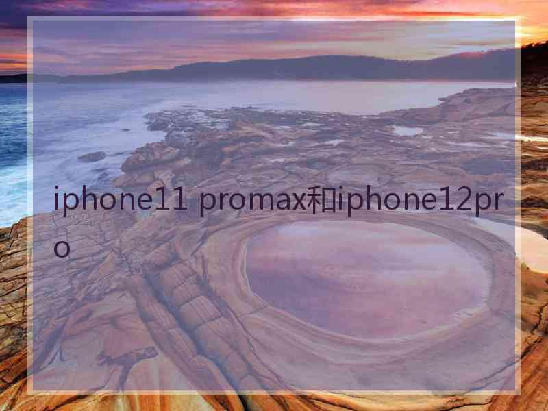 iphone11 promax和iphone12pro