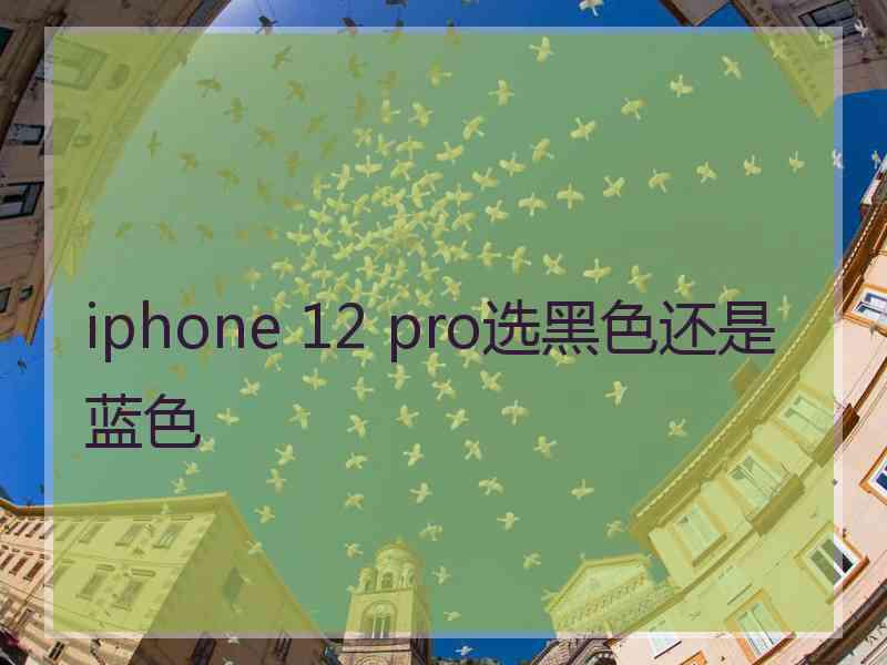 iphone 12 pro选黑色还是蓝色