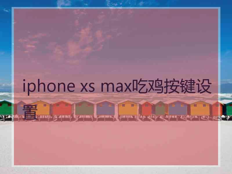 iphone xs max吃鸡按键设置