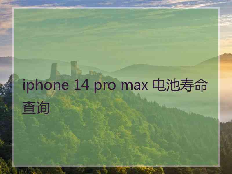 iphone 14 pro max 电池寿命查询