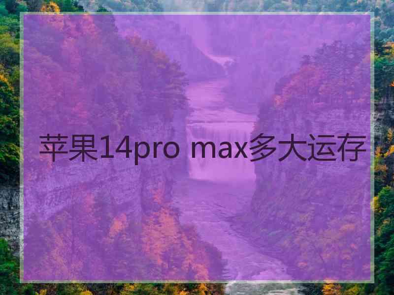 苹果14pro max多大运存