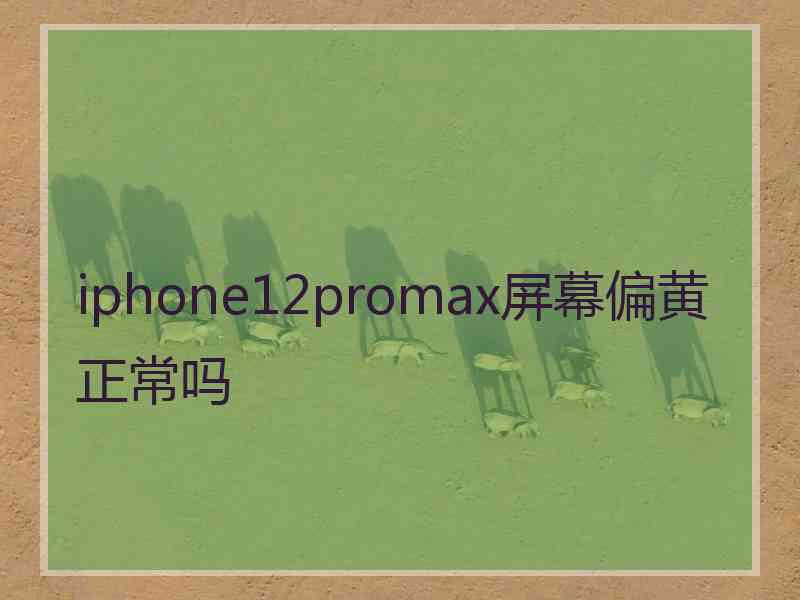 iphone12promax屏幕偏黄正常吗