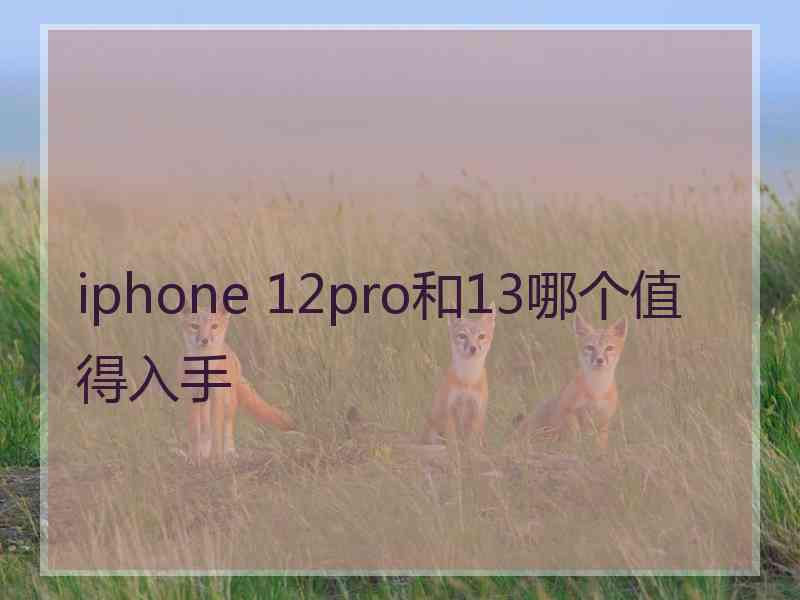 iphone 12pro和13哪个值得入手