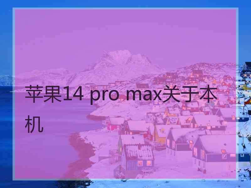 苹果14 pro max关于本机