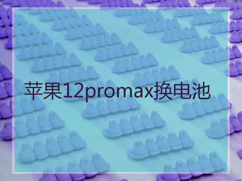 苹果12promax换电池