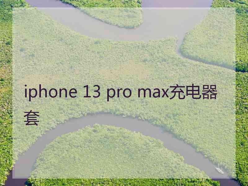 iphone 13 pro max充电器套