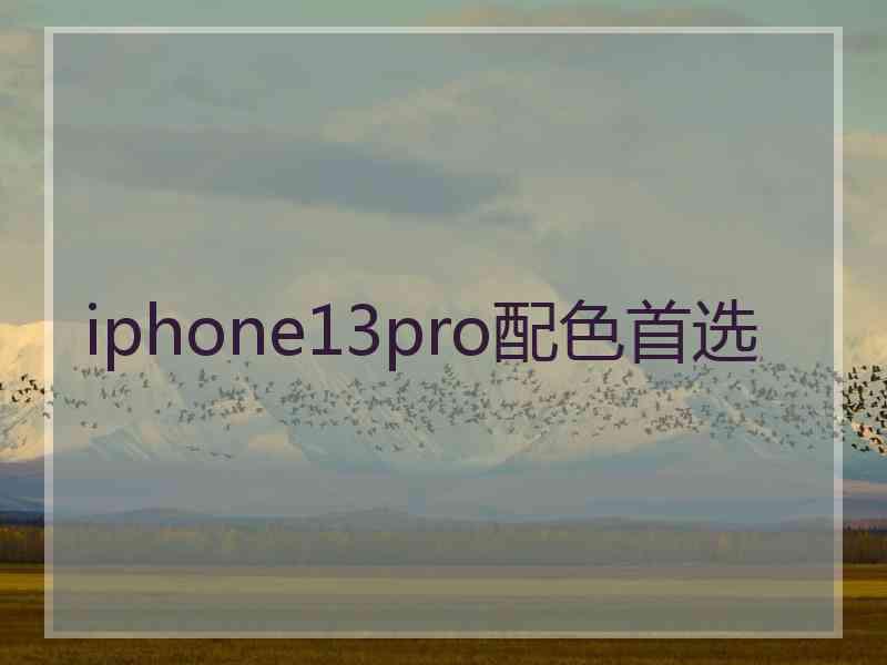 iphone13pro配色首选