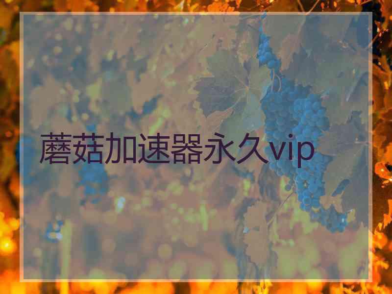 蘑菇加速器永久vip