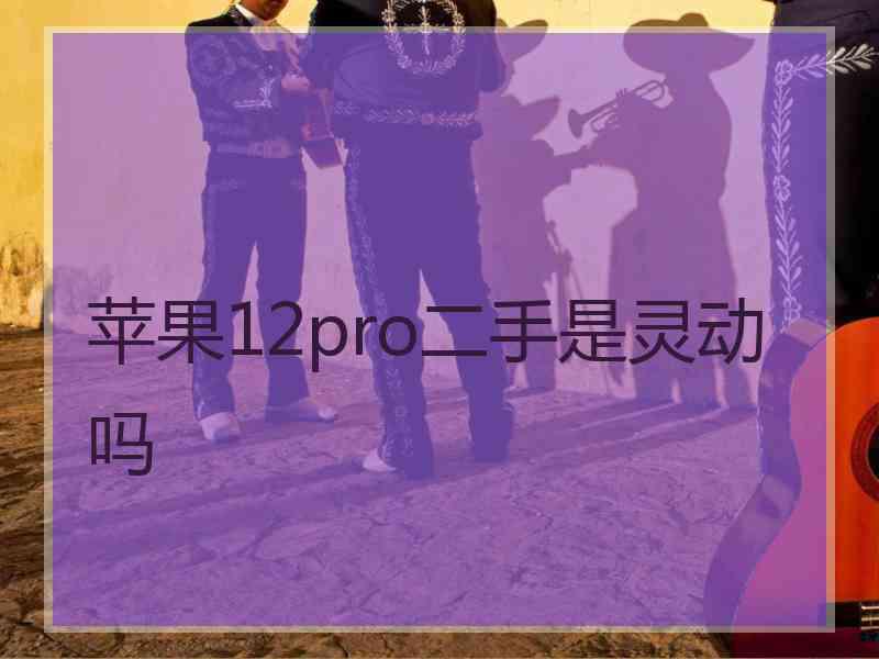 苹果12pro二手是灵动吗