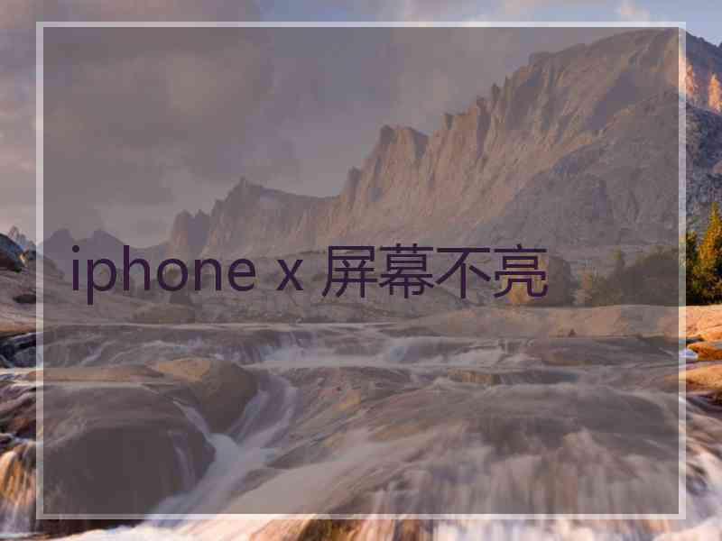 iphone x 屏幕不亮