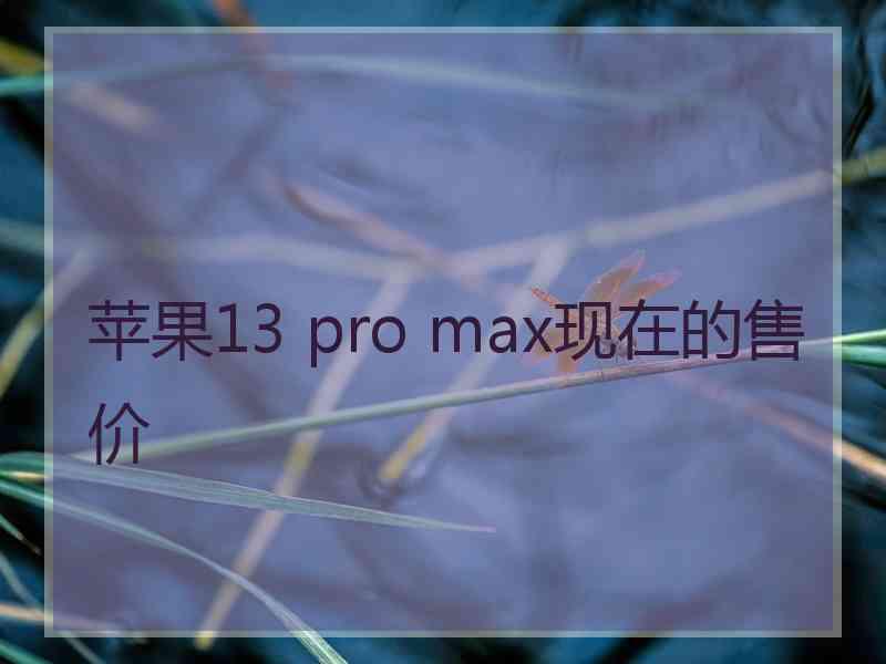 苹果13 pro max现在的售价