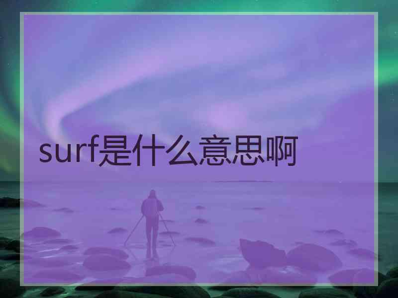 surf是什么意思啊