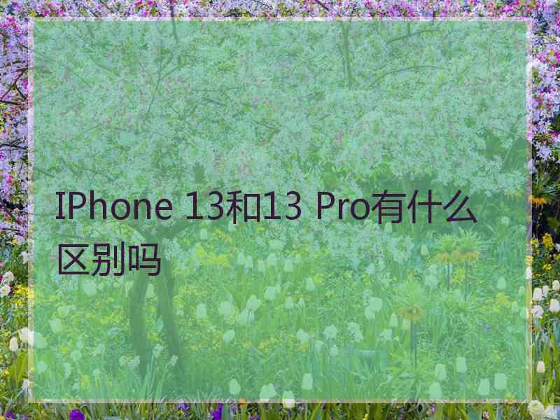 IPhone 13和13 Pro有什么区别吗