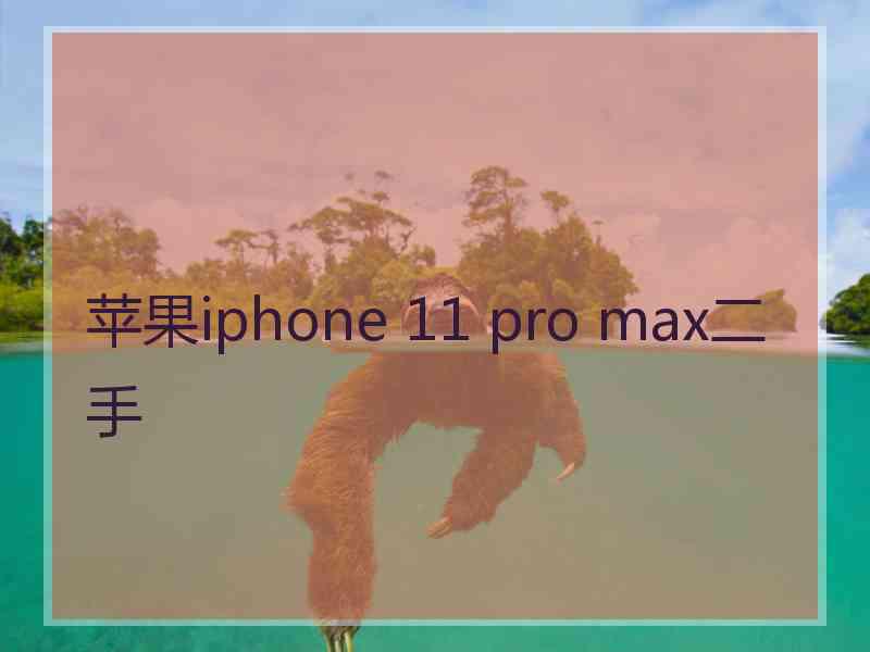 苹果iphone 11 pro max二手