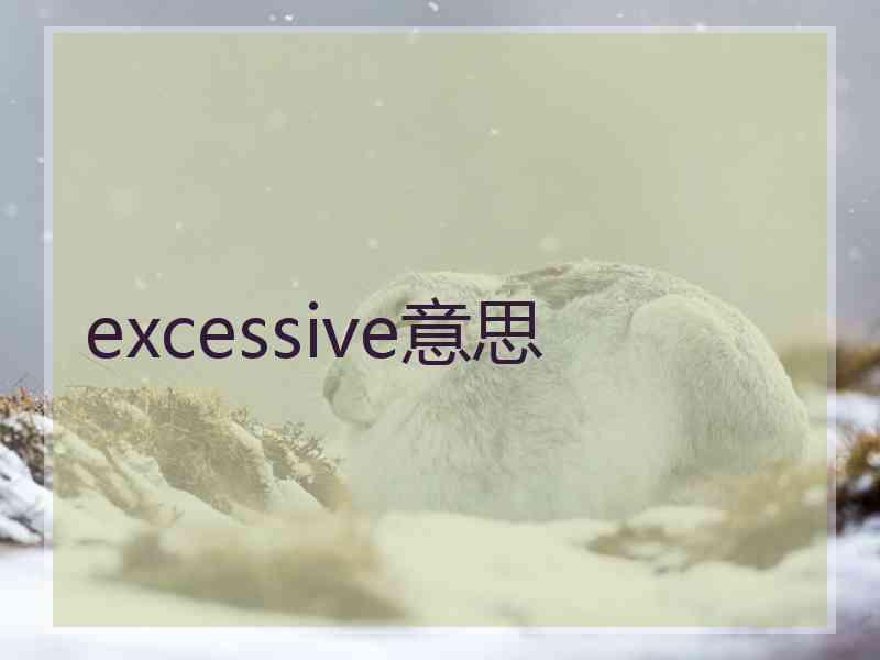 excessive意思