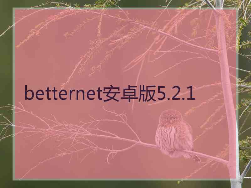 betternet安卓版5.2.1