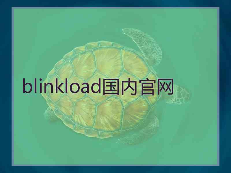 blinkload国内官网