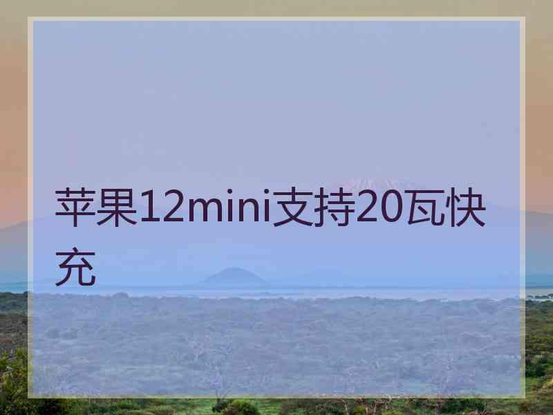 苹果12mini支持20瓦快充