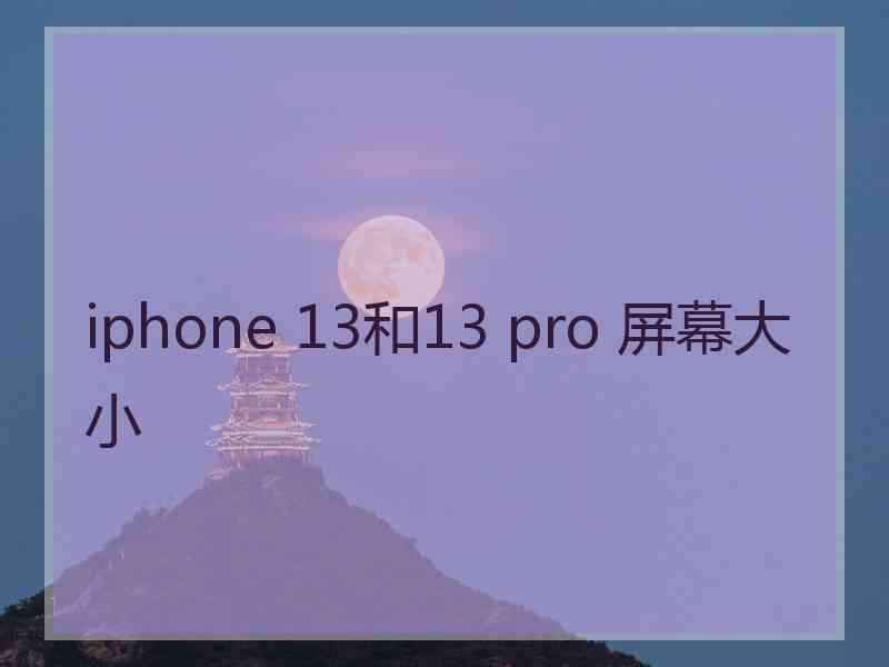 iphone 13和13 pro 屏幕大小