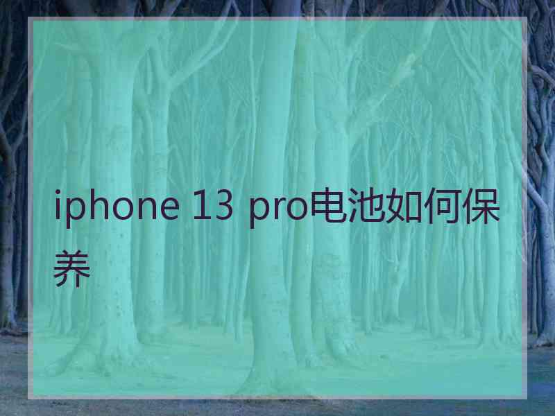 iphone 13 pro电池如何保养