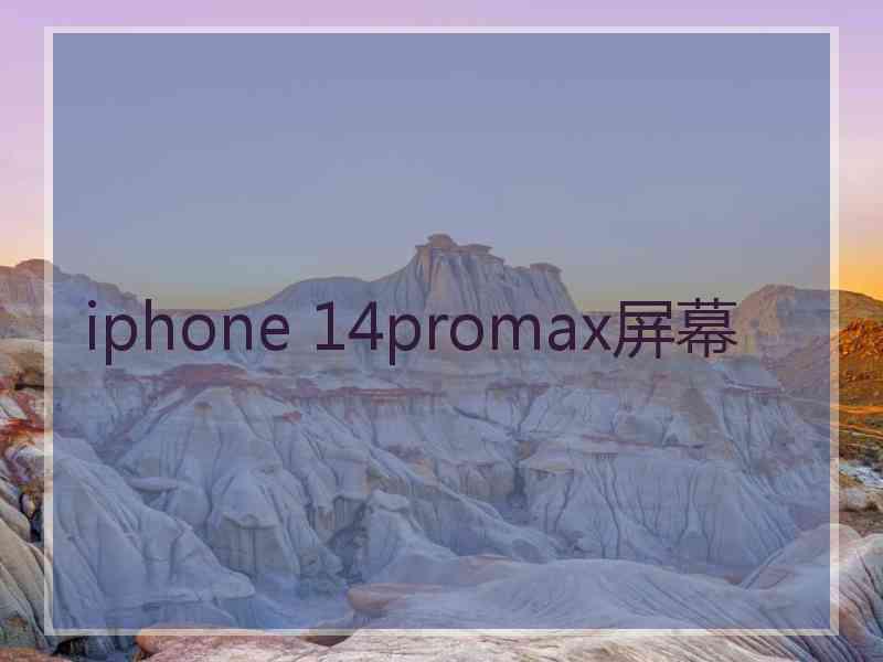 iphone 14promax屏幕