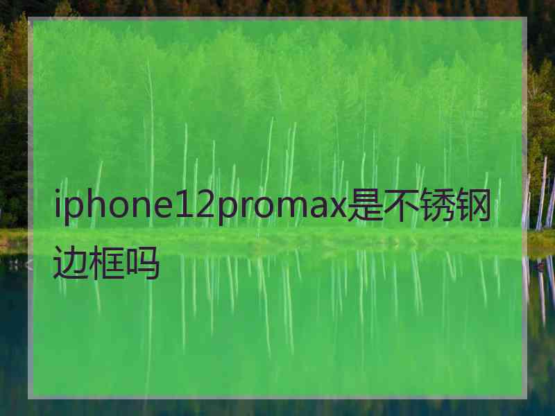 iphone12promax是不锈钢边框吗