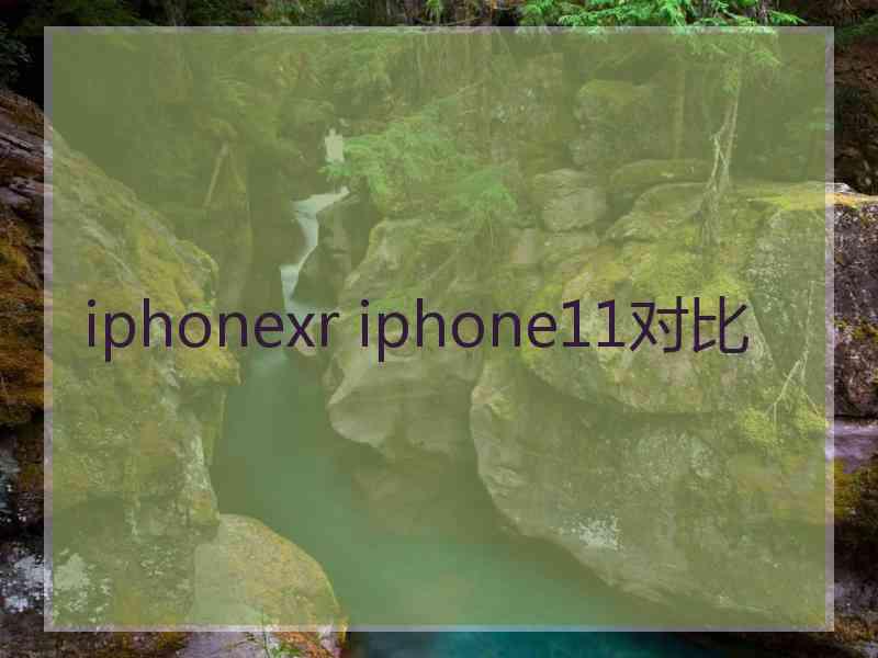 iphonexr iphone11对比