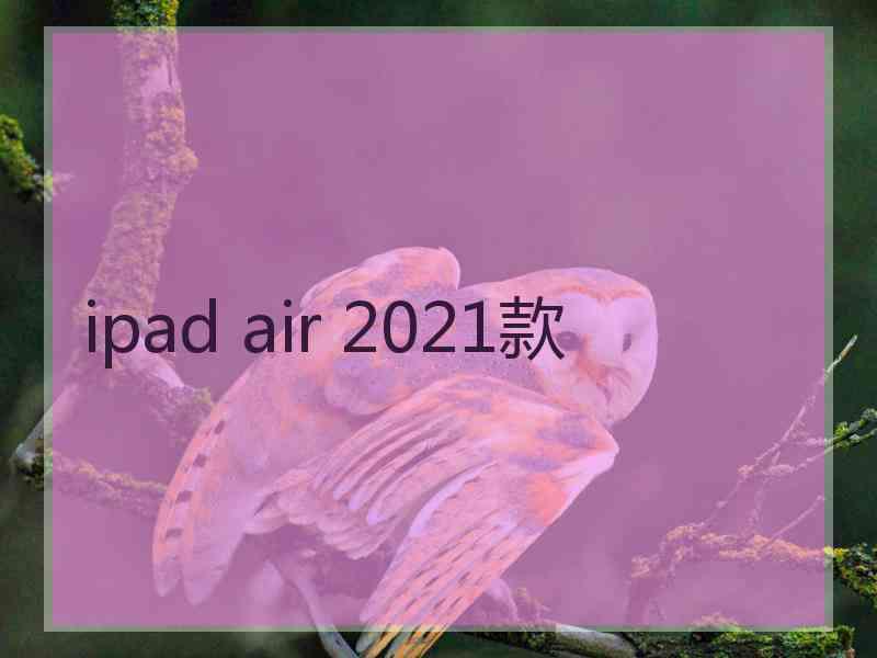 ipad air 2021款