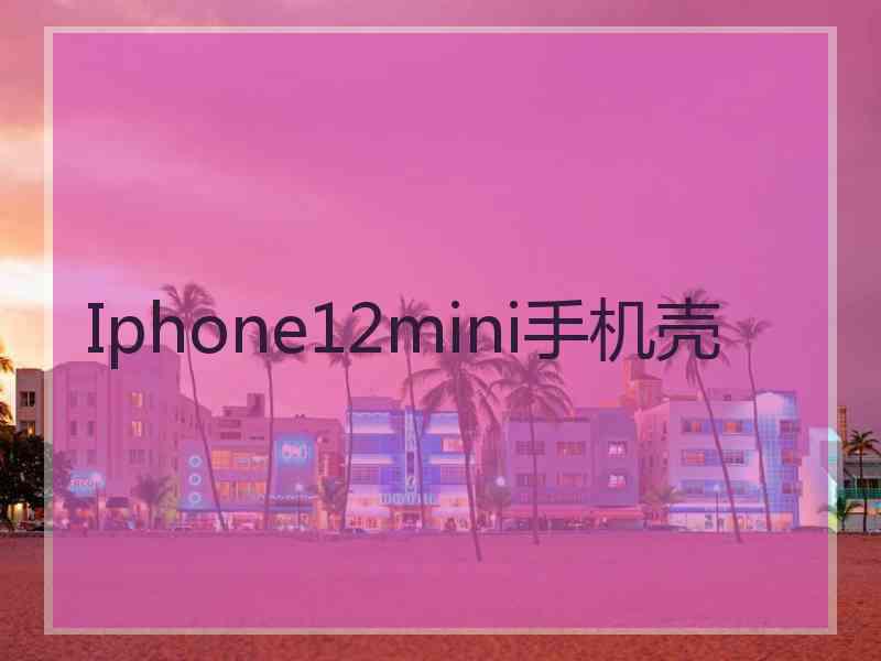 Iphone12mini手机壳