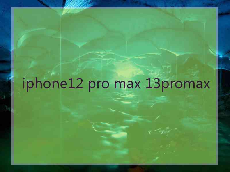 iphone12 pro max 13promax