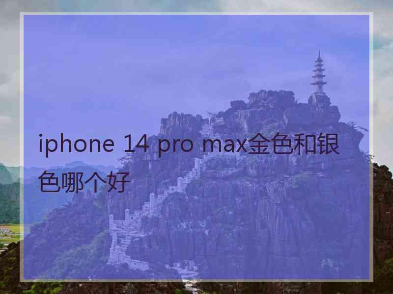 iphone 14 pro max金色和银色哪个好