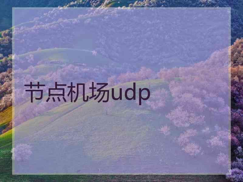 节点机场udp