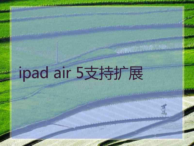 ipad air 5支持扩展