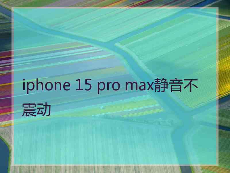 iphone 15 pro max静音不震动