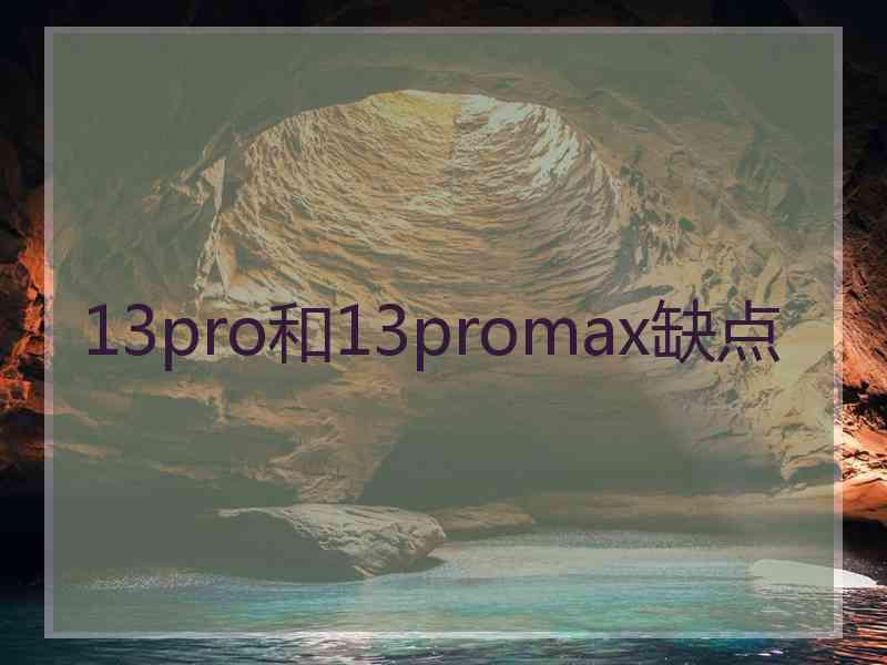 13pro和13promax缺点