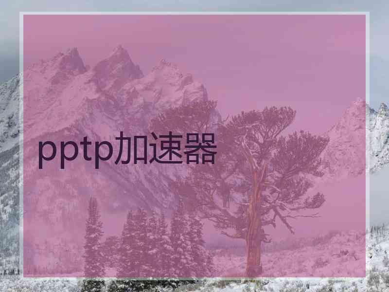 pptp加速器