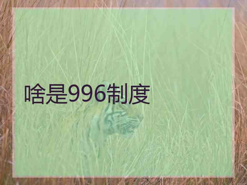 啥是996制度