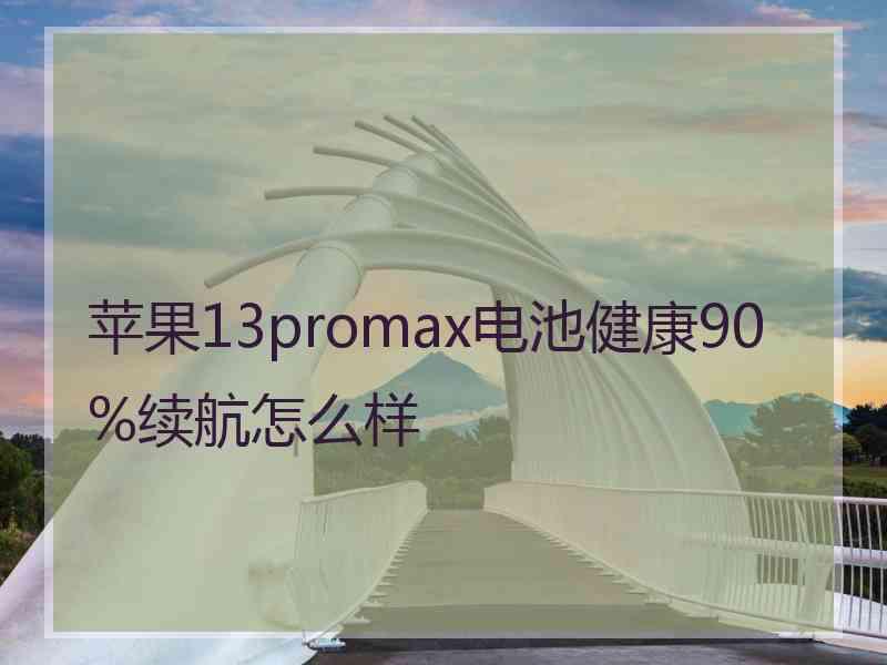 苹果13promax电池健康90%续航怎么样