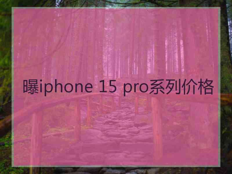 曝iphone 15 pro系列价格