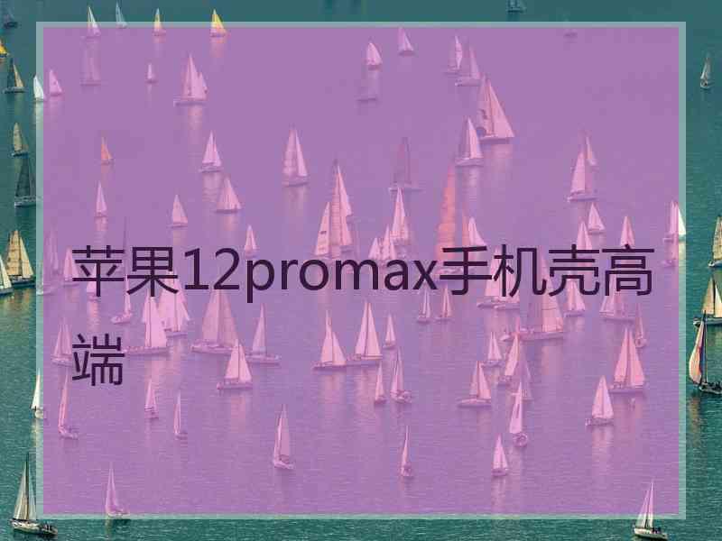 苹果12promax手机壳高端