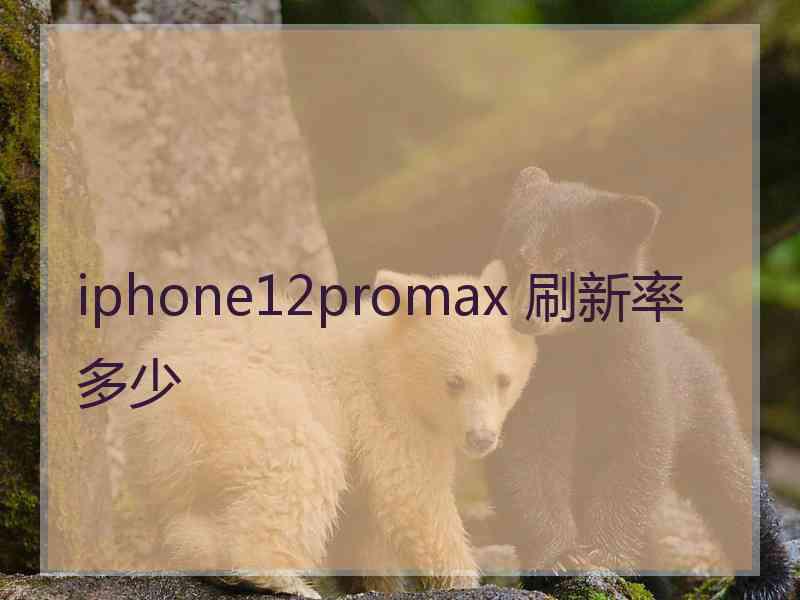 iphone12promax 刷新率多少