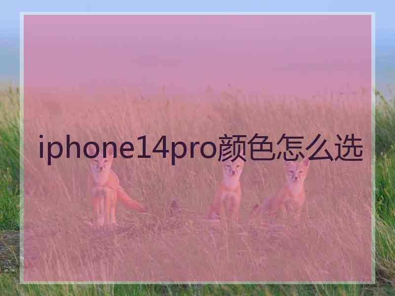 iphone14pro颜色怎么选