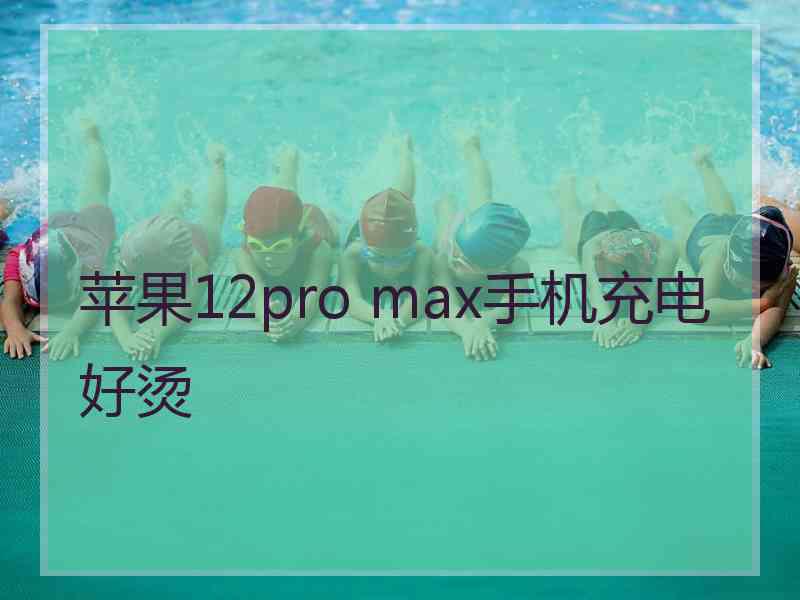 苹果12pro max手机充电好烫