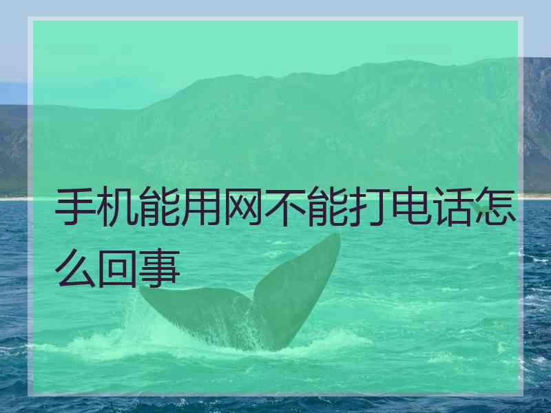 手机能用网不能打电话怎么回事