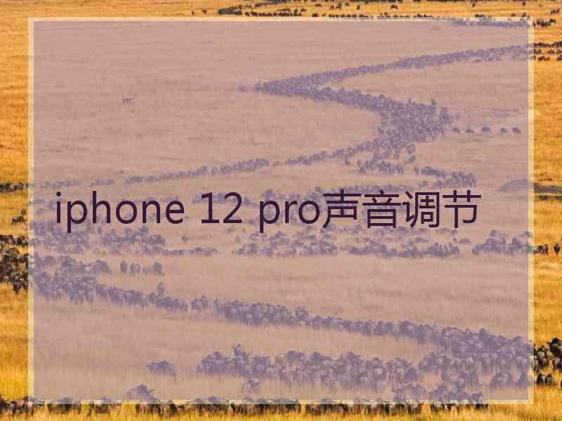 iphone 12 pro声音调节