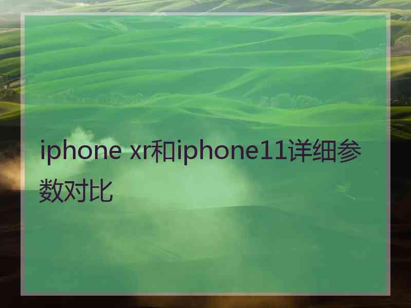 iphone xr和iphone11详细参数对比