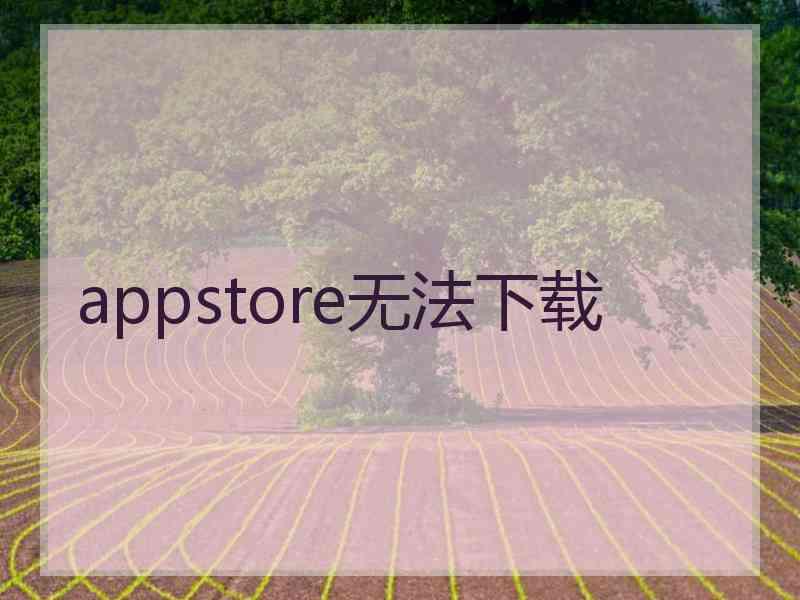 appstore无法下载