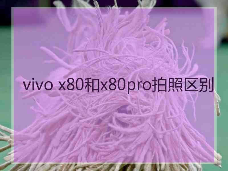 vivo x80和x80pro拍照区别