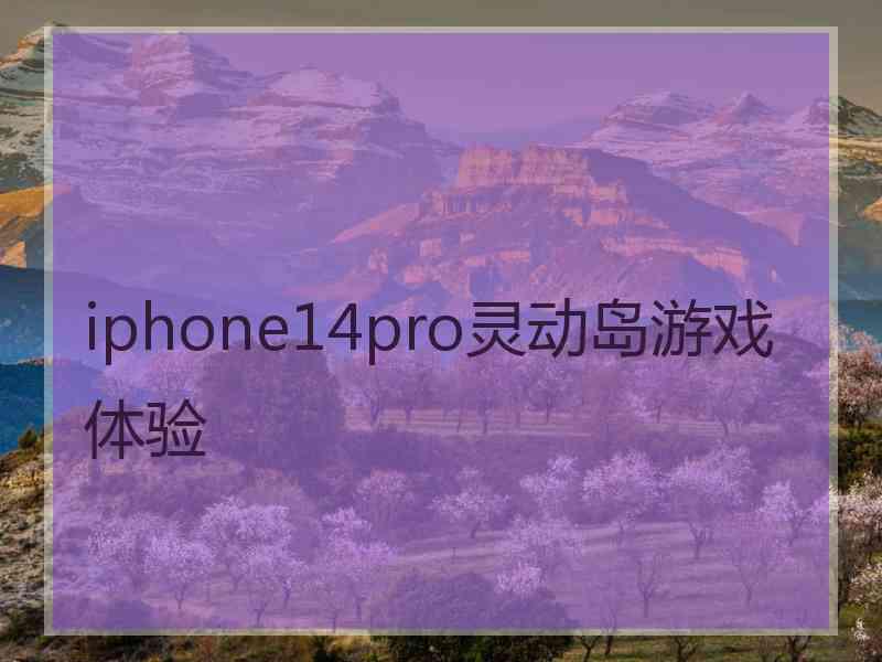 iphone14pro灵动岛游戏体验